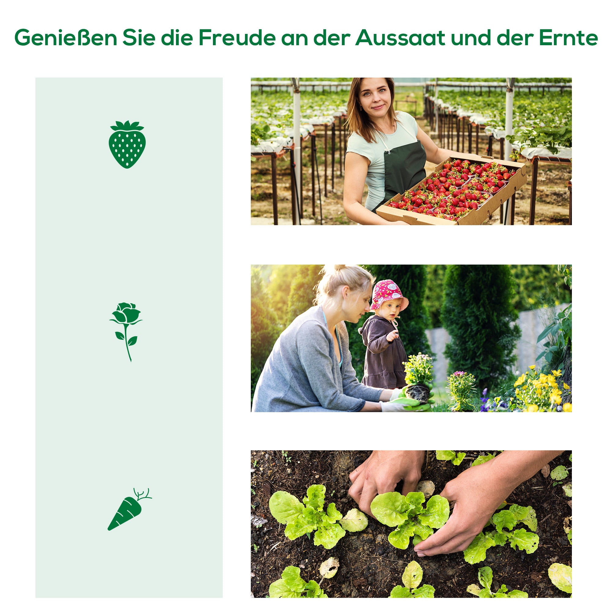 Greenhouse with Roll-Up Window Dome, Winterproof Steel Frame Greenhouse Water-Resistant Garden Greenhouse for Balcony Tomato House with UV Protection 200x80x45cm Tomato Greenhouse for Vegetables, Green