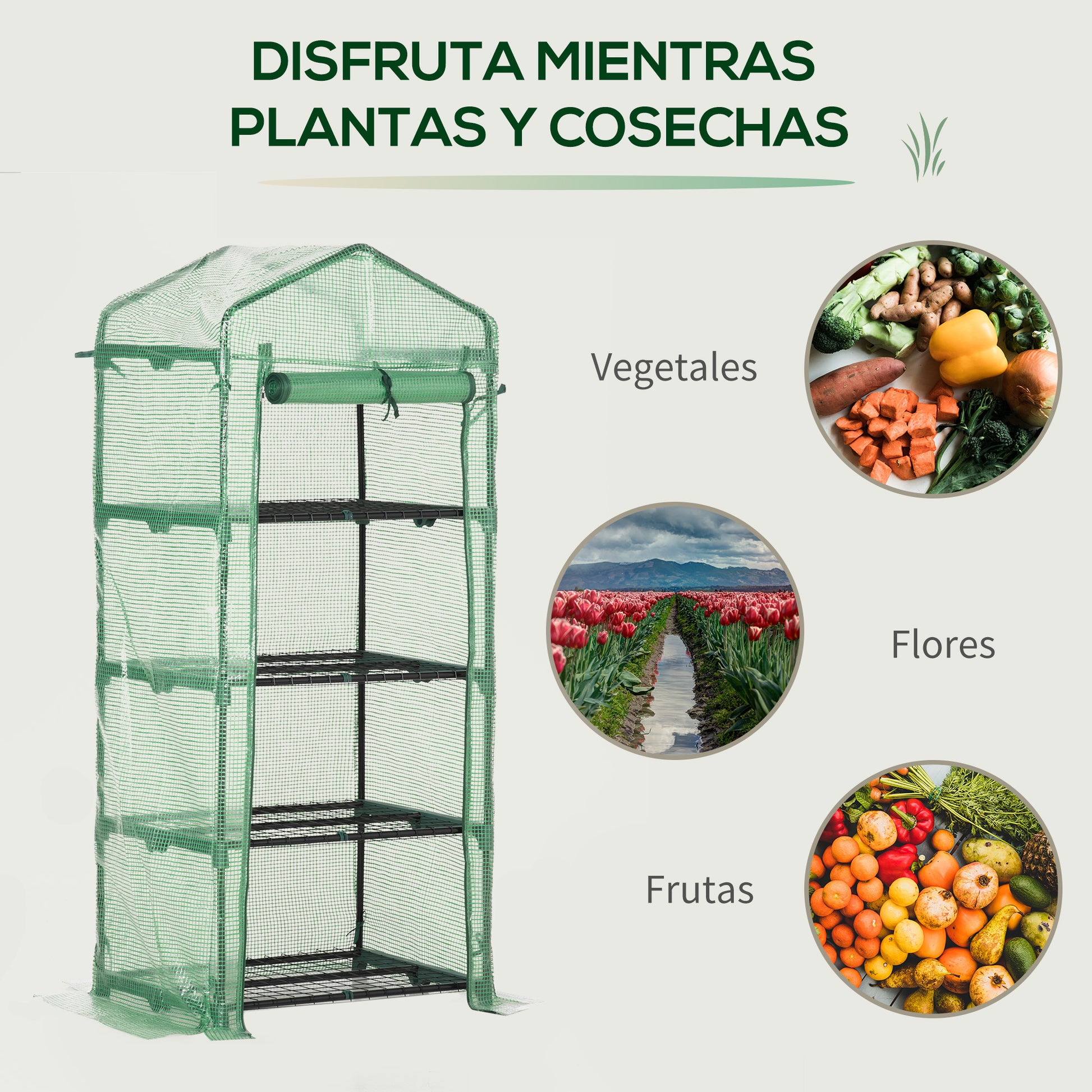 Garden Greenhouse with 4 Shelves and PE Cover Tube Steel Home Nursery Greenhouse for Plant and Flower Cultivation Pots 70x50x160 cm Green