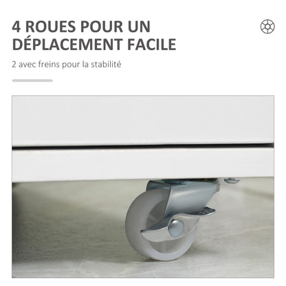 Mobile Office Cabinet, Rolling Desk Storage Cabinet with 7 Drawers - Organizer for documents, A4 or letter format, dimensions 47.5L x 39.5W x 90H cm, white