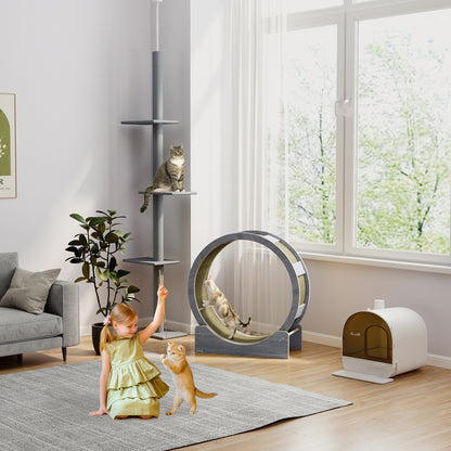 Cat Exercise Wheel 91 cm Diameter Cat Wheel with Brake Treadmill Scratching Board, Cat Wheel Track for Weight Loss & Health, Grey