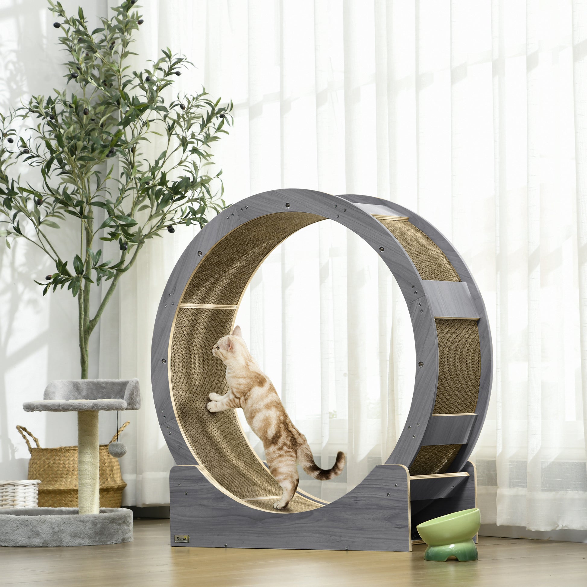 Cat Exercise Wheel 91 cm Diameter Cat Wheel with Brake Treadmill Scratching Board, Cat Wheel Track for Weight Loss & Health, Grey