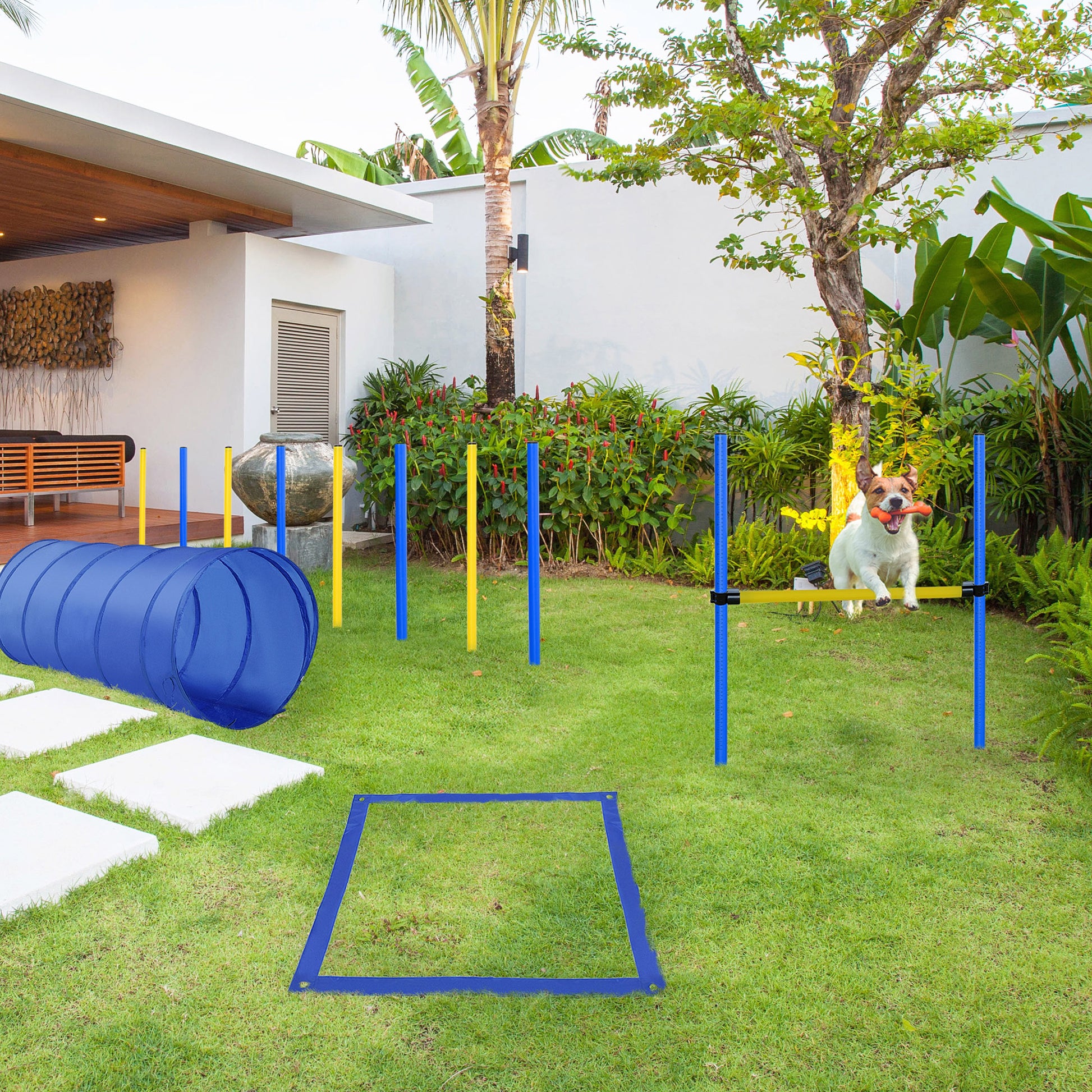Agility Training Set Slalom Hurdles Tunnel Dog Sports Training Area PE+Polyester Blue+Yellow