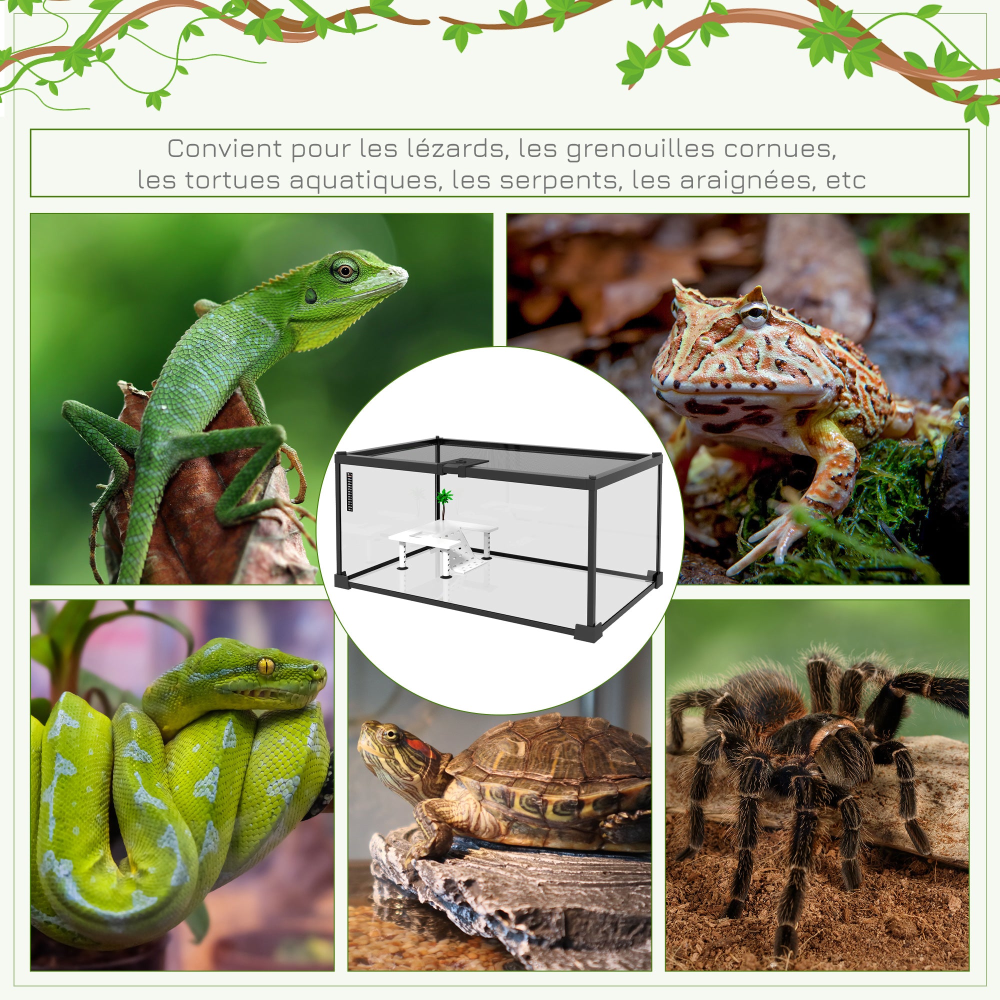 Reptile Box Reptile Breeding Box Transparent Terrarium Habitat Sliding Lid Wire Mesh Water Dispenser Thermometer Included Glass Metal 50x30x25 cm White
