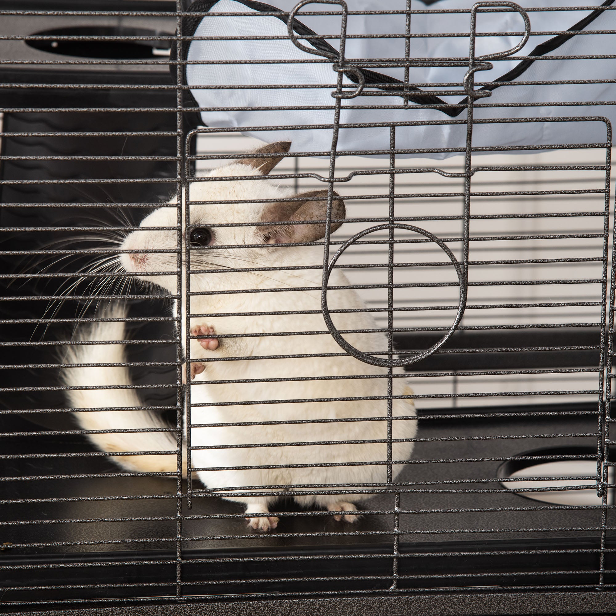 4-Level Small Animal Cage Pet Playpen with Wheels 2 Doors 3 Ramps Hanging Hammock and Removable Tray for Guinea Pigs 52x52x113.5 cm Gray Silver