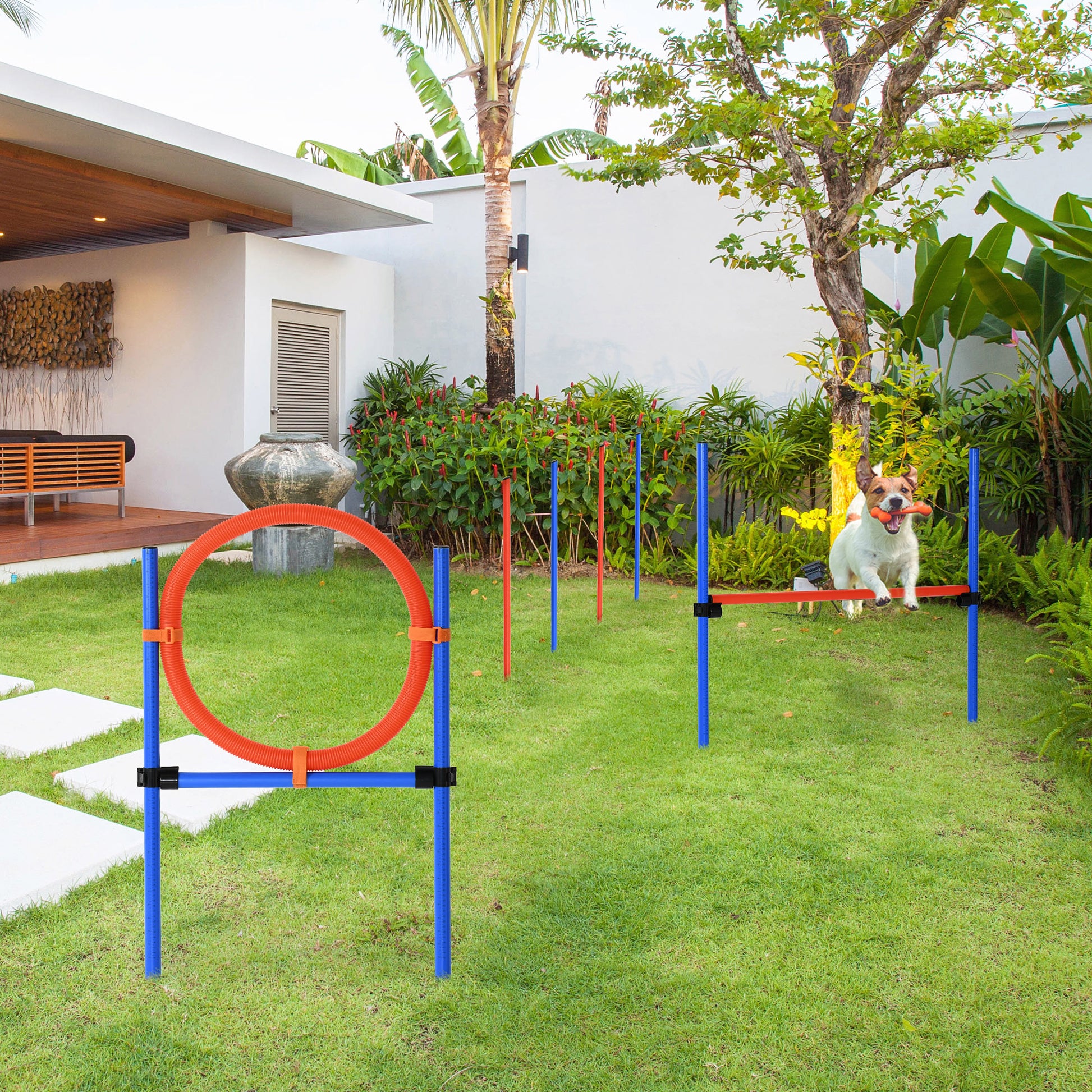 Dog Agility Training Equipment, Agility Exercise Set, Dog Agility Set, Slalom Hurdles Jump Ring for Dogs, 3 in 1 Dog Sports Training Area, Blue+Red