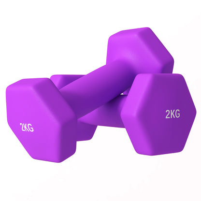 SPORTNOW Set of 2 Hexagonal Non-Slip Dumbbells 2x2 kg for Workout, Gym Weights in Metal and Plastic, 16x7.5x7.5 cm, Purple