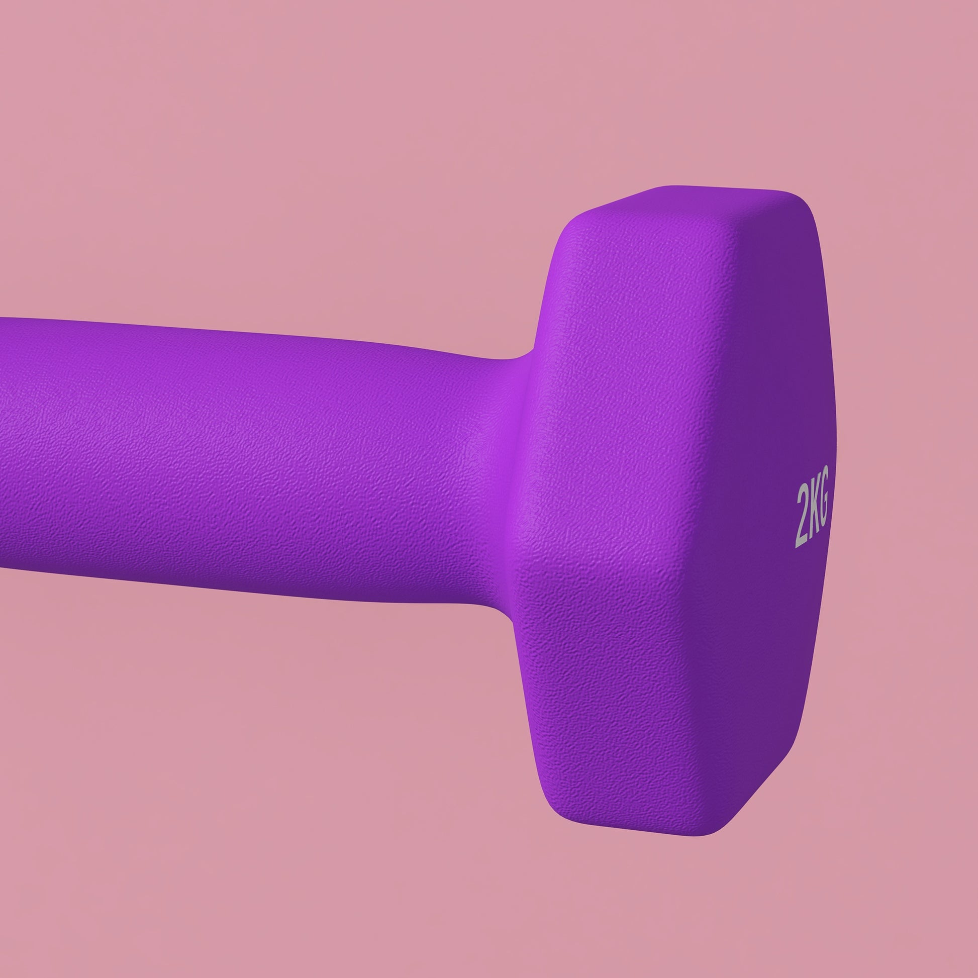 SPORTNOW Set of 2 Hexagonal Non-Slip Dumbbells 2x2 kg for Workout, Gym Weights in Metal and Plastic, 16x7.5x7.5 cm, Purple