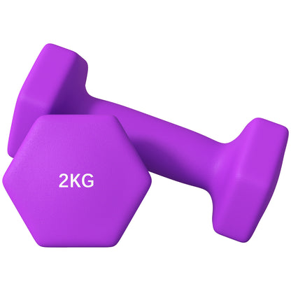 SPORTNOW Set of 2 Hexagonal Non-Slip Dumbbells 2x2 kg for Workout, Gym Weights in Metal and Plastic, 16x7.5x7.5 cm, Purple