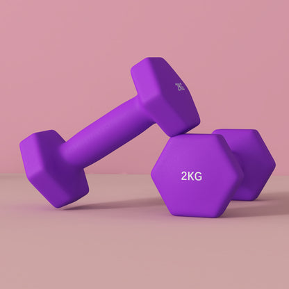 SPORTNOW Set of 2 Hexagonal Non-Slip Dumbbells 2x2 kg for Workout, Gym Weights in Metal and Plastic, 16x7.5x7.5 cm, Purple