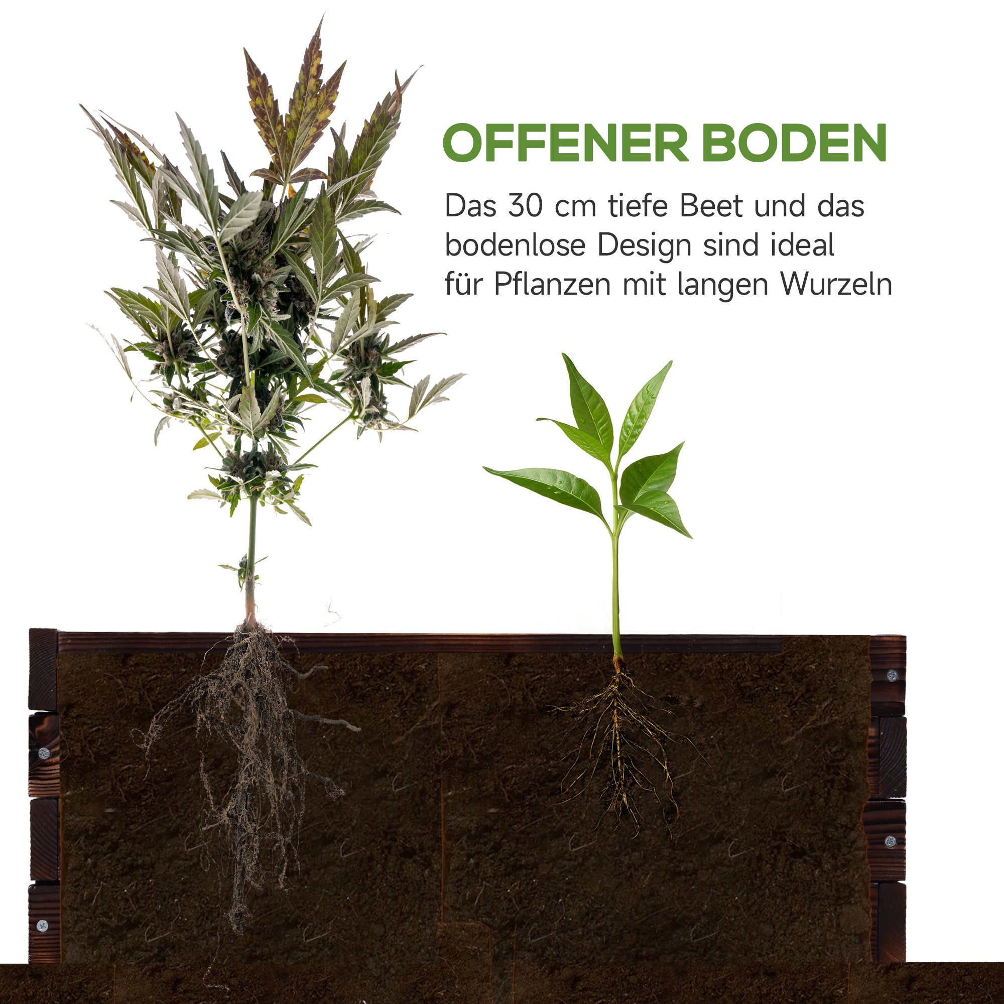 Raised Garden Bed, Plant Box, Vegetable Bed, Herb Bed, Solid Wood, Dark Brown, 60 x 60 x 23 cm