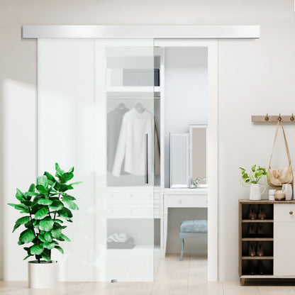 Glass Sliding Door with Handle Bar, One-Sided Satinized, 102.5 x 205 cm
