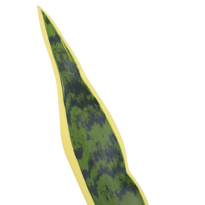 Artificial Sansevieria in Pot, Indoor and Outdoor Plant with 21 Leaves (Ø15cm x 77cm)