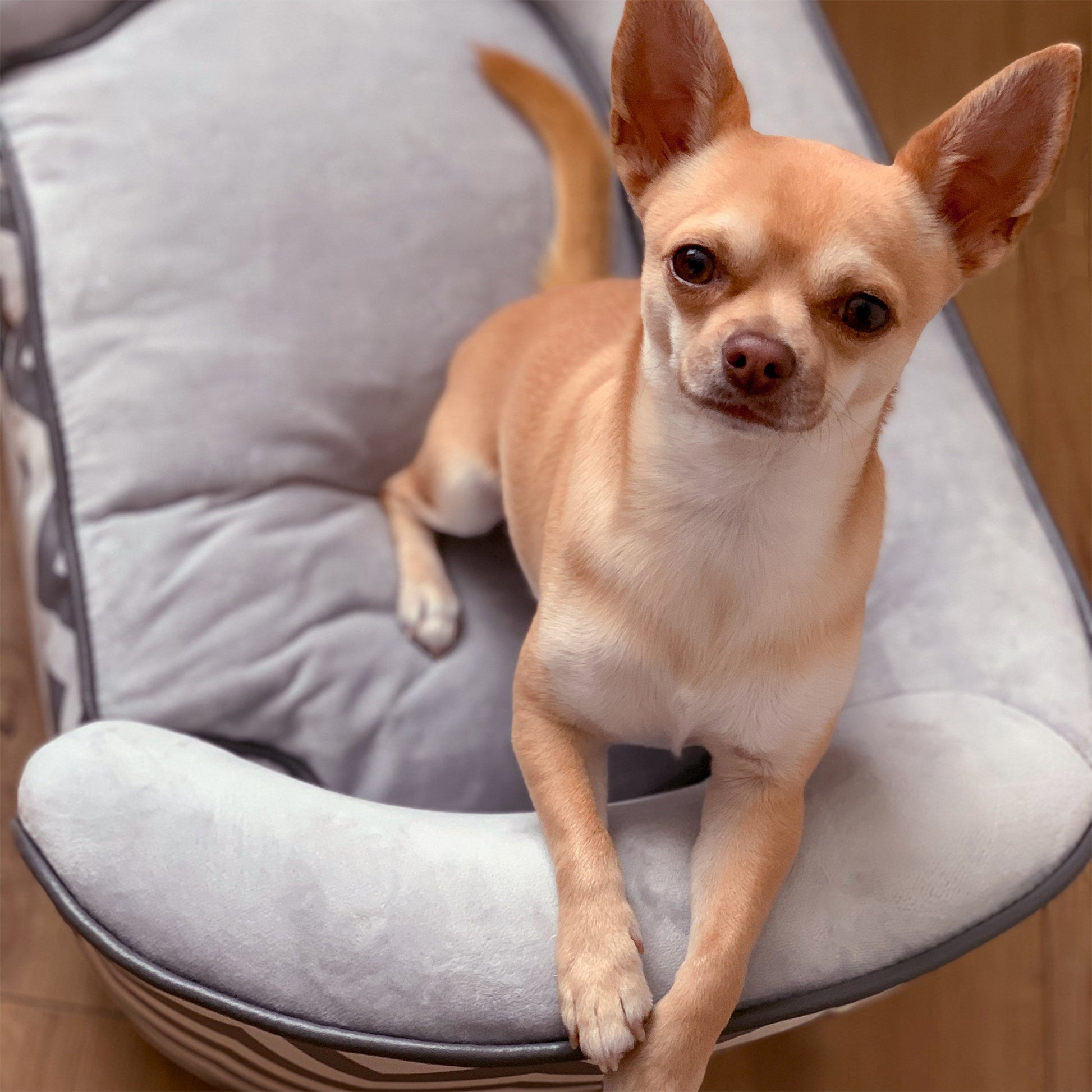 Pet Sofa Dog Couch Dog Bed Dog Mat Cat Pillow Padded Wood Foam Gray 68.5 x 40.5 x 40.5 cm