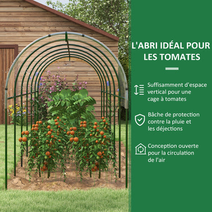 Garden Greenhouse, Tomato Greenhouse, Reinforced Tarpaulin, Steel Frame, for Vegetables Plants Flowers, Outdoor, 600 x 123 x 171 cm, Transparent