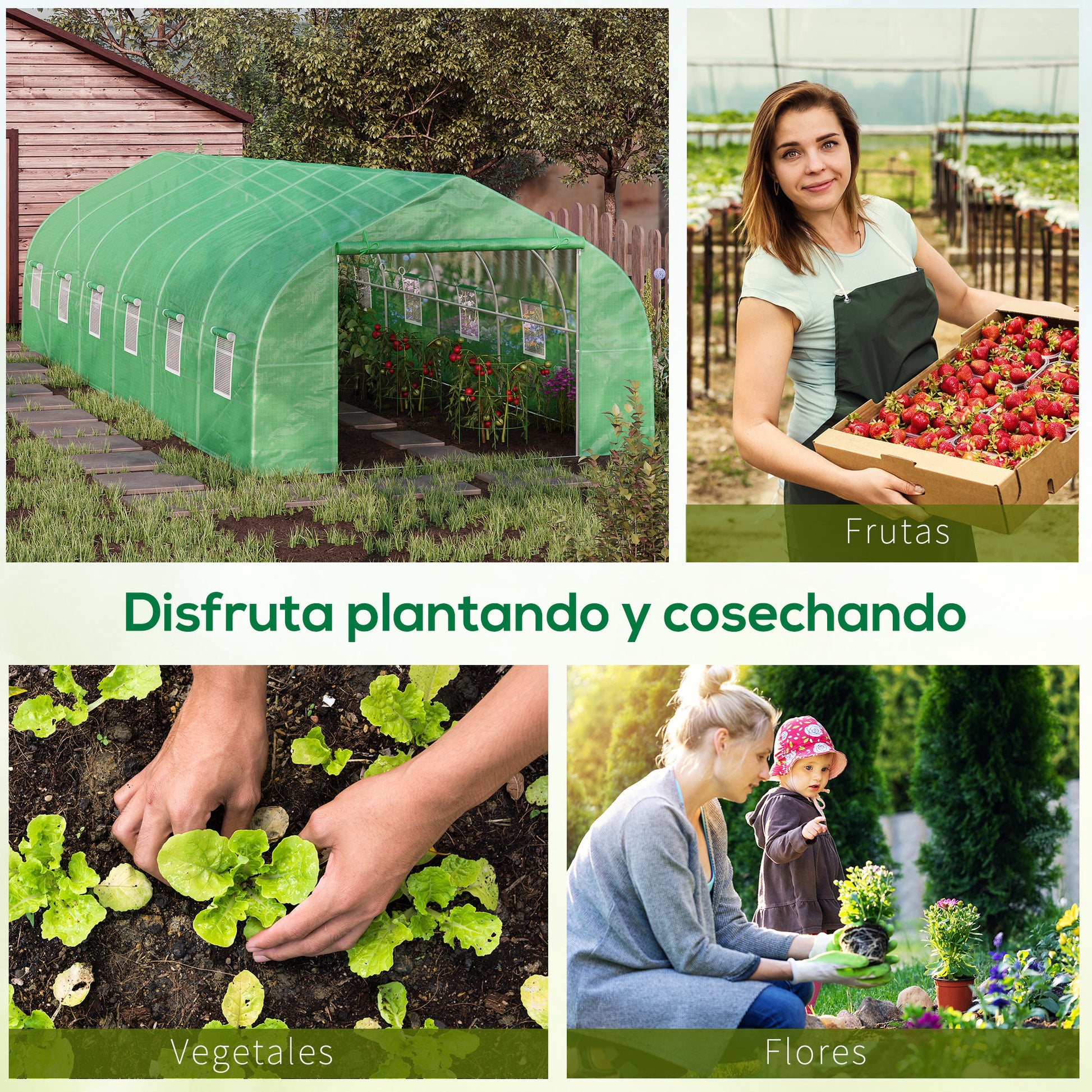Outdoor Greenhouse Tunnel Greenhouse 8x3x2 m Garden Greenhouse with 12 Windows and Roll-Up Door for Growing Plants Tomatoes Vegetables Steel and PE 140 g/m² Green