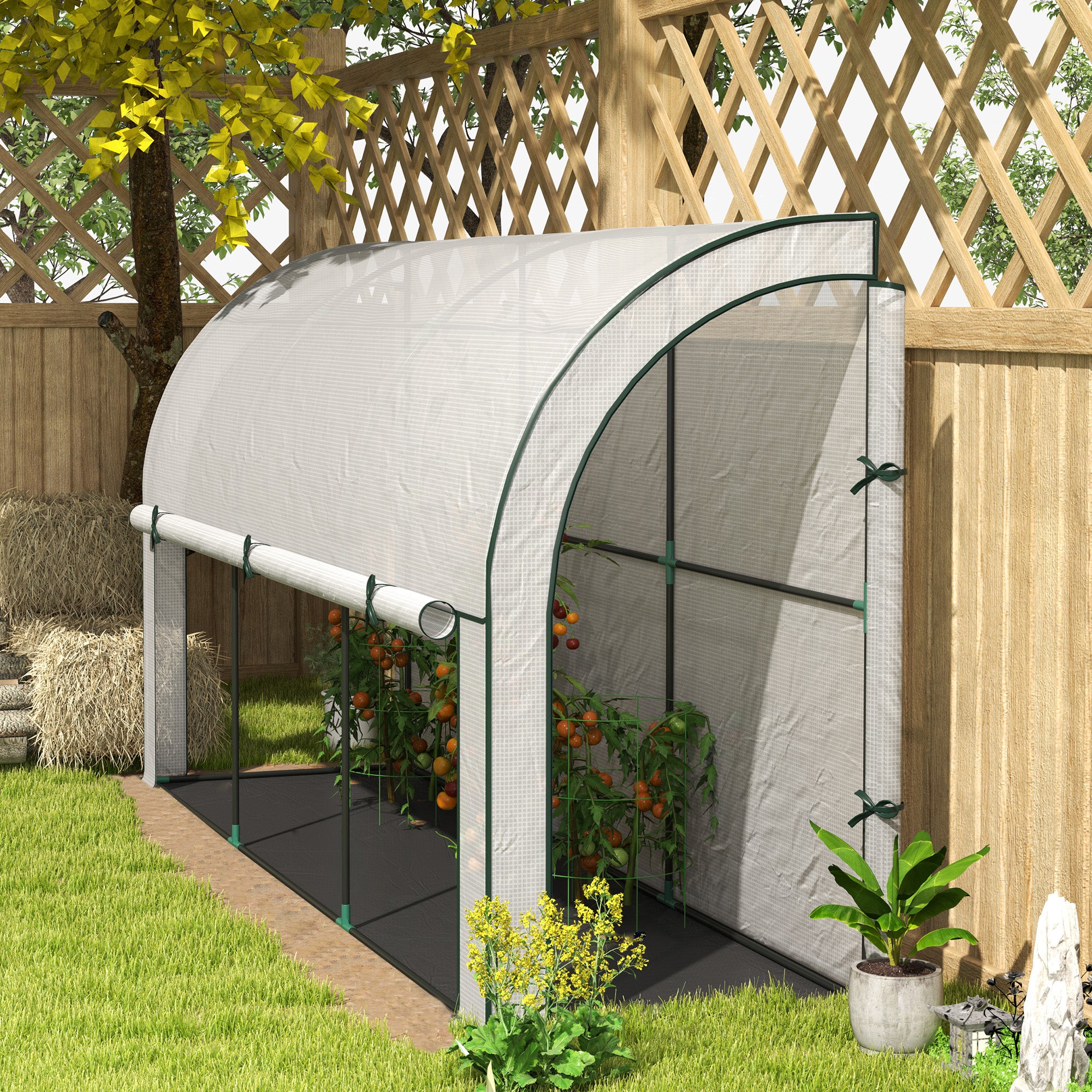 Greenhouse with Roll Door, Winterproof Steel Frame Greenhouse for Balcony, Garden, Tomato House with UV Protection 300x80x157cm Tomato Greenhouse for Vegetables Flowers Plants White