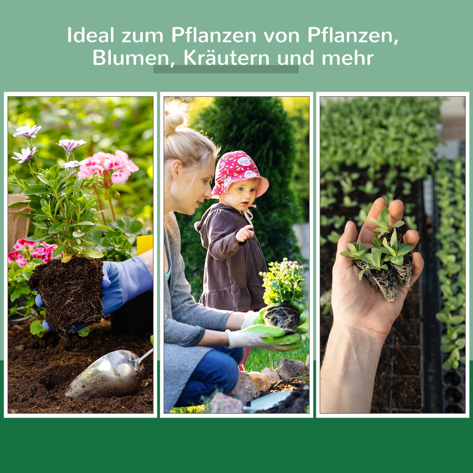 Cold Frame Greenhouse Greenhouse Cold Frame Box Plant Bed with Wood and Polycarbonate Weatherproof Natural 102 x 71 x 53 cm