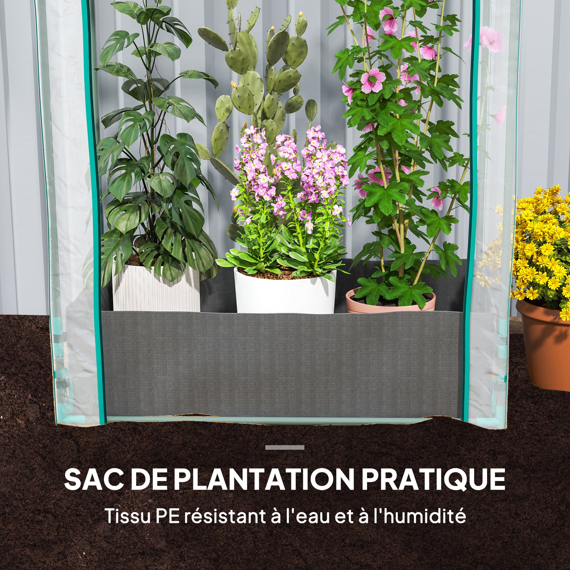 Garden Greenhouse, Balcony Greenhouse, Reinforced PVC Cover, Steel Frame, Roll-Up Zippered Door, with Planting Bag, for Vegetables Plants, Indoor and Outdoor, 89x50x152cm transparent