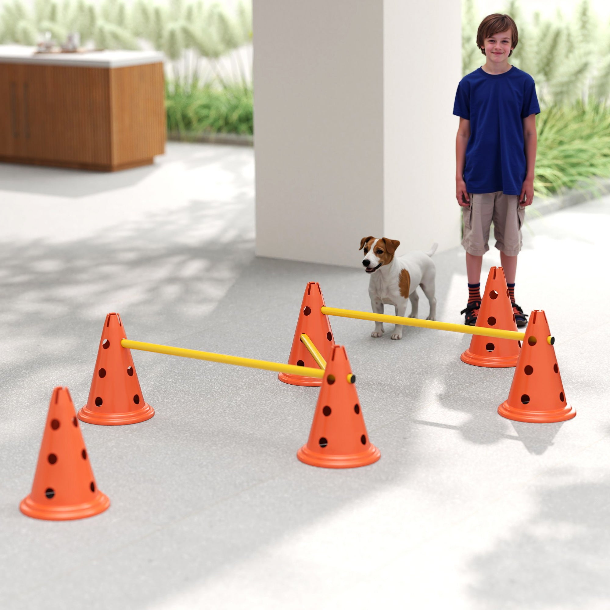 3-Piece Dog Agility Set with 6 Cones, 3 Adjustable Hurdles & Carry Bag