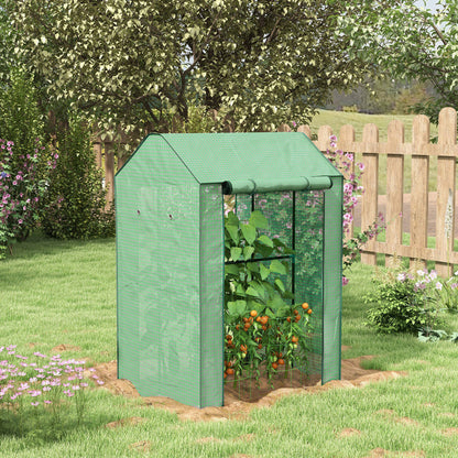 Garden Greenhouse PE, Balcony Greenhouse, Reinforced 135 g/m² Cover, Steel Frame, 2 Roll-Up Zipper Doors, for Vegetables Plants Flowers, Indoor and Outdoor, 100 x 80 x 150 cm Green