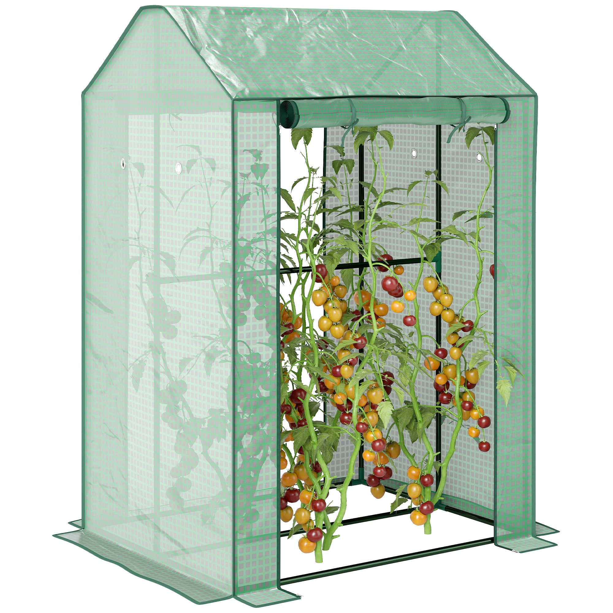 Garden Greenhouse PE, Balcony Greenhouse, Reinforced 135 g/m² Cover, Steel Frame, 2 Roll-Up Zipper Doors, for Vegetables Plants Flowers, Indoor and Outdoor, 100 x 80 x 150 cm Green
