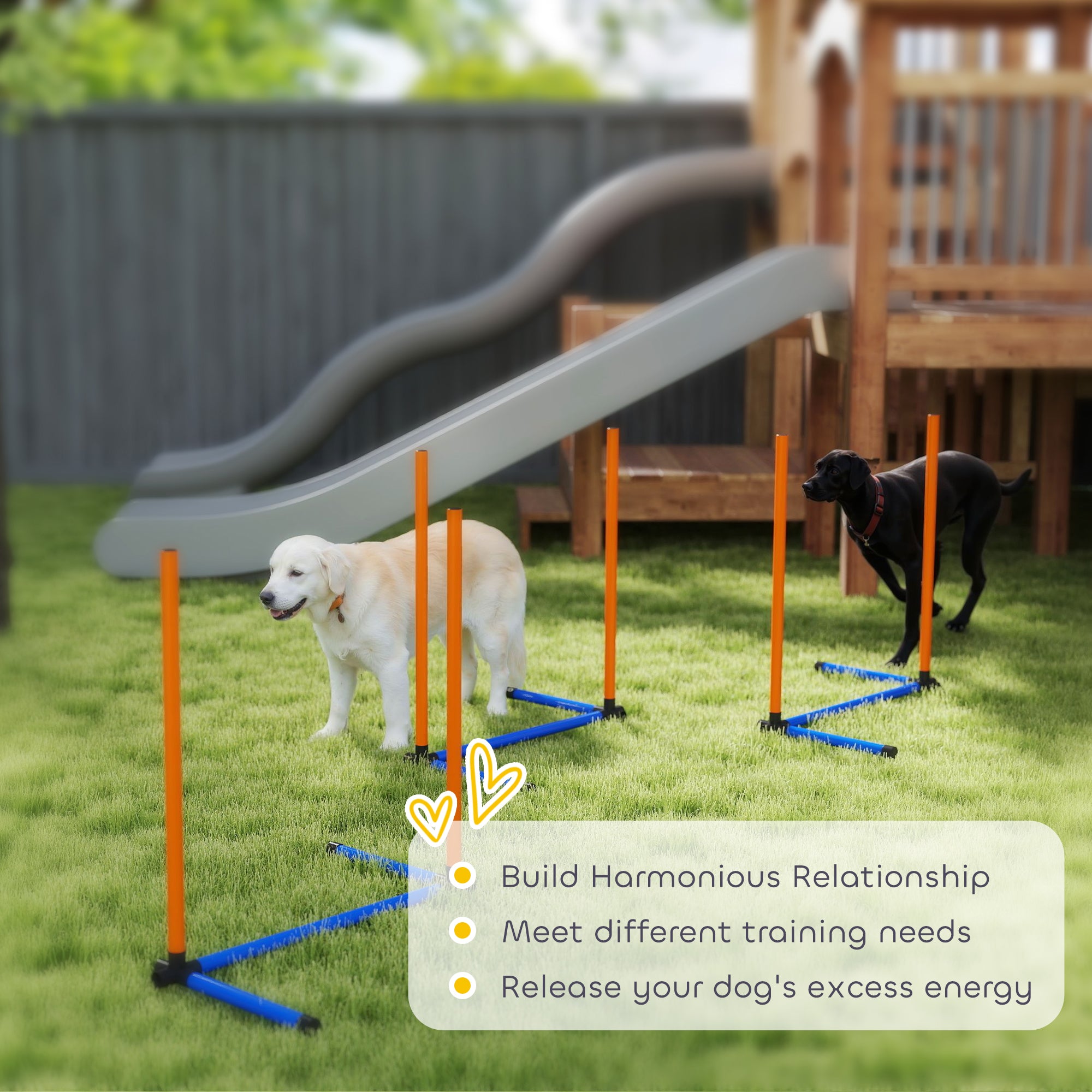 3-Piece Dog Agility Set with Weave Poles, Ground Stakes & Carry Bag — Portable Indoor/Outdoor Training Kit, Orange