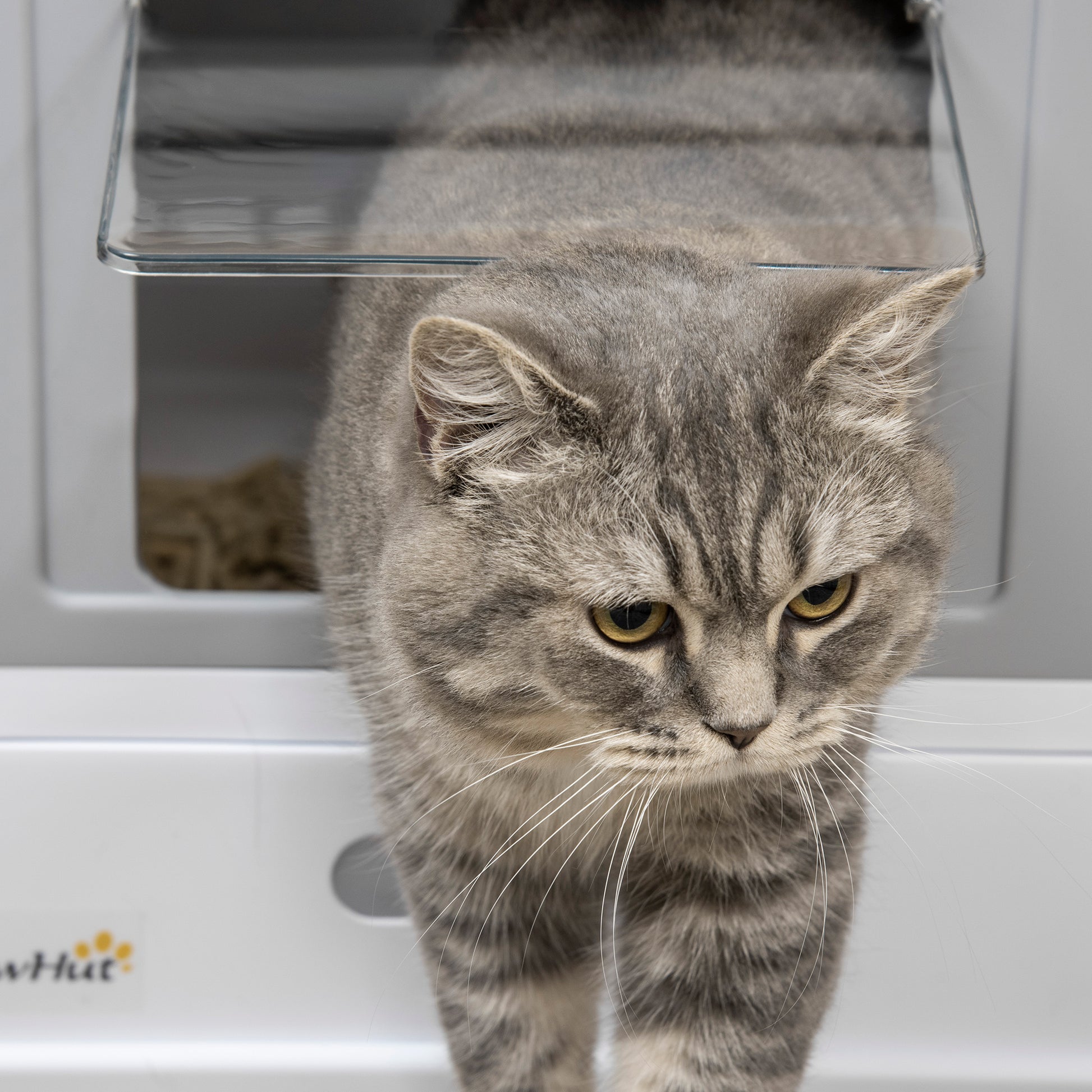 Cat Litter Box with Lid, Hooded Cat Toilet with Scoop, Pull-out Tray, Cat Toilet for Cats up to 5 kg 47.5 x 35.5 x 36.7 cm White+Gray