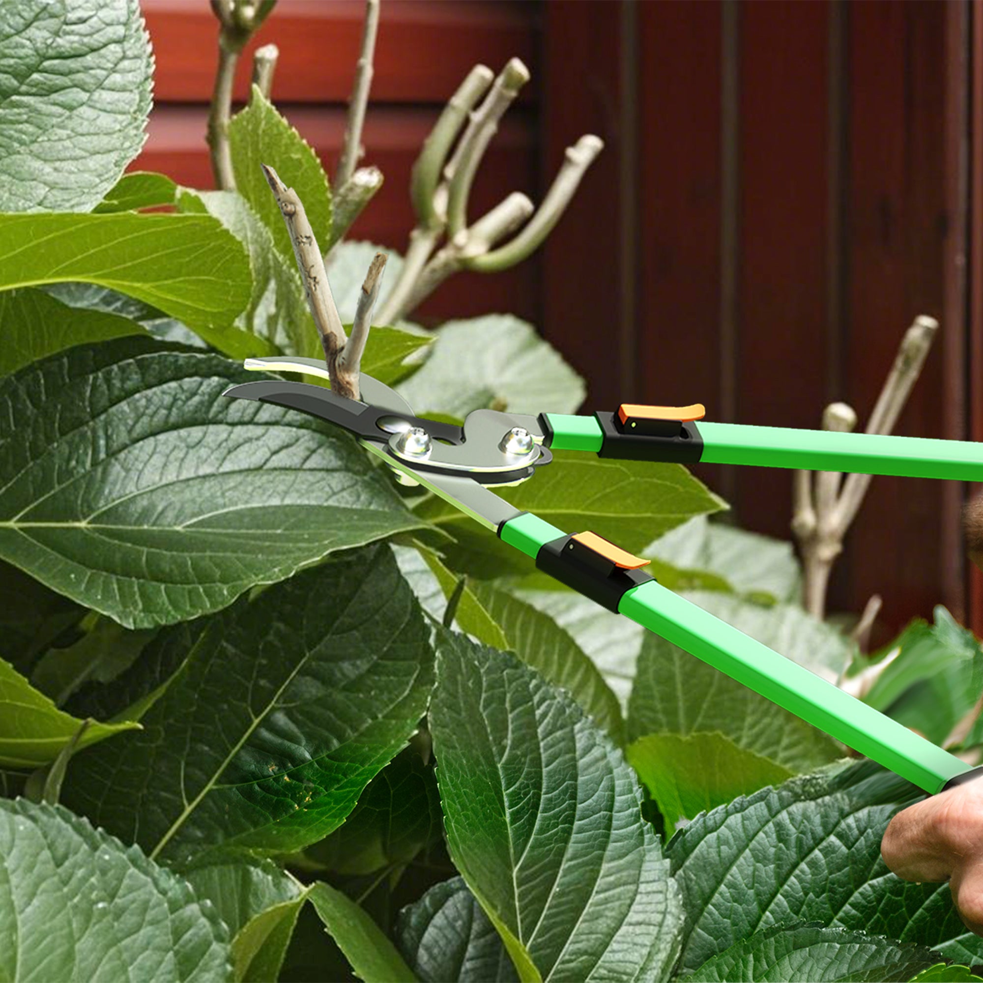 Set of 2 Garden Shears, hedge shear length 63.5-78.5 cm, anvil pruner length 64.5-90 cm, extendable non-slip telescopic handles polished blades, green and black