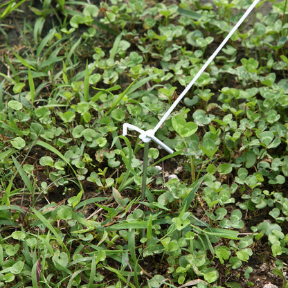 Garden Tunnel Greenhouse with 8 Windows and Roll-Up Door, Metal Frame and Polyethylene Cover, 5x2x2m, White