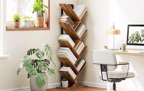 Bookcases and Shelves