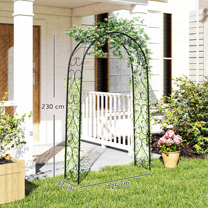 Rose Arch, Steel Garden Arch for Climbing Plants, 125 x 37 x 230 cm Trellis, Garden Decoration, Black