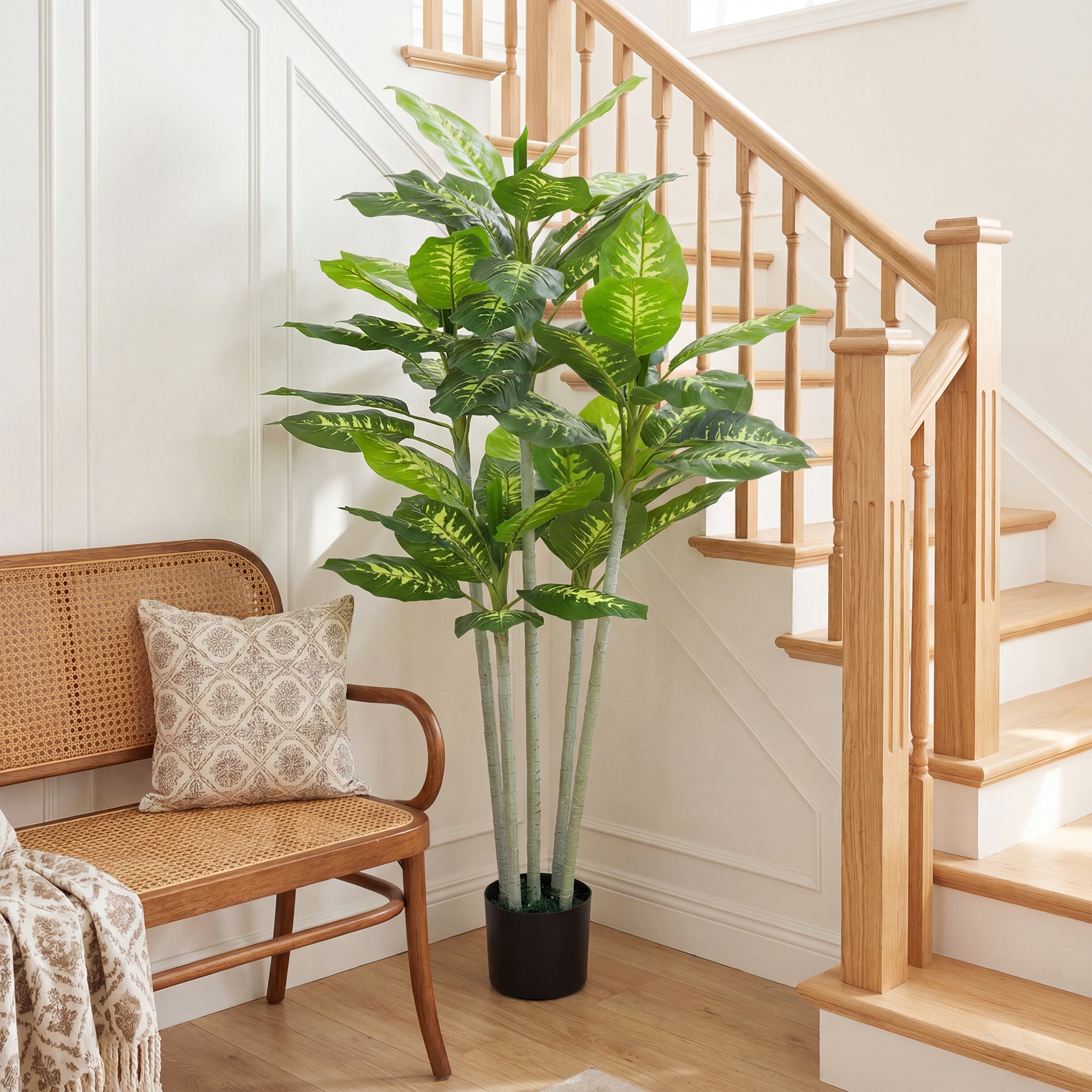 Artificial Calathea Plant, 150 cm (59 in) with Cement Pot — Indoor