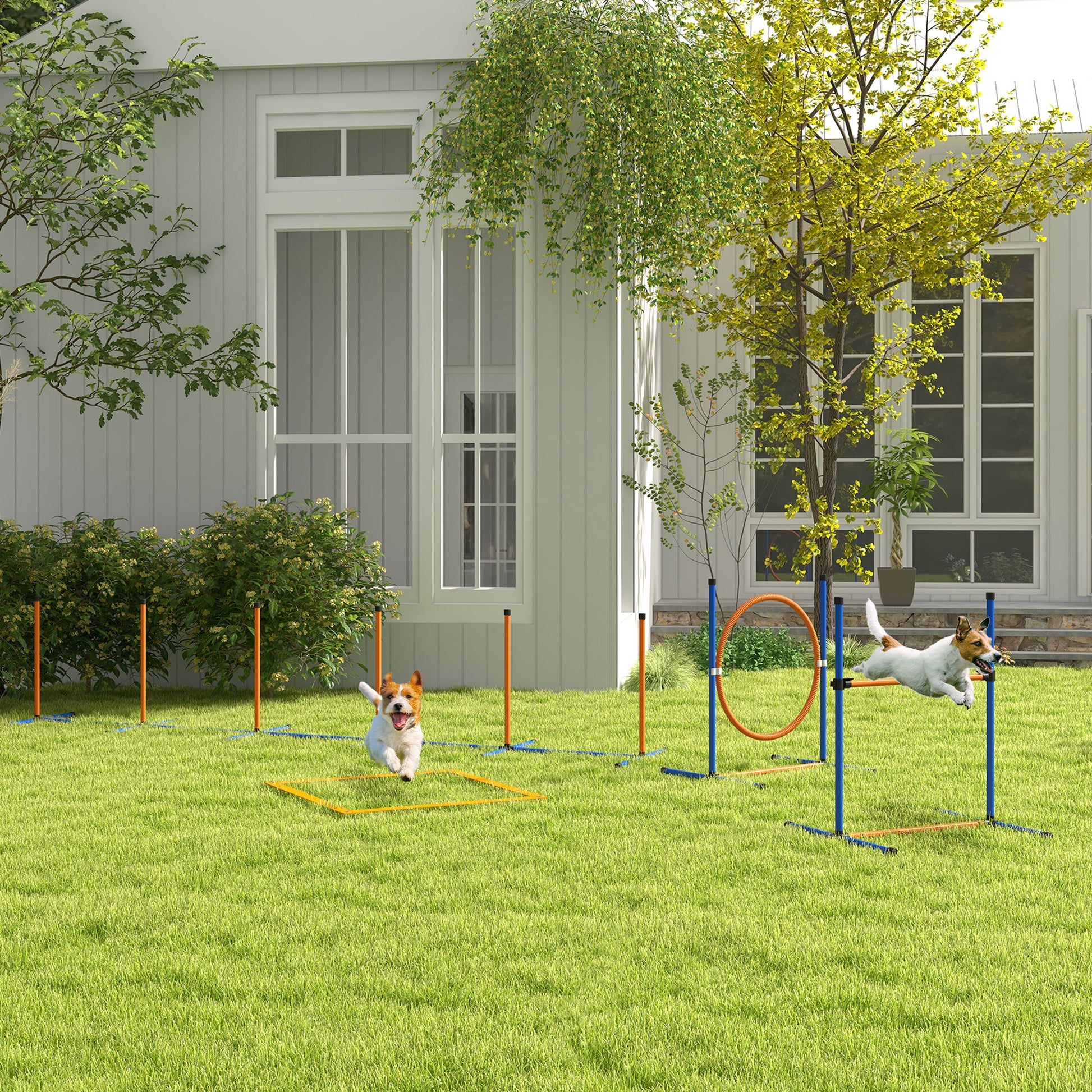 Dog Agility Set, 4-Piece Dog Training with Adjustable Height Agility Hurdles, Weave Poles, Break Box, Jump Hoop, Stick Hurdle Set including Whistle, Carry Bag