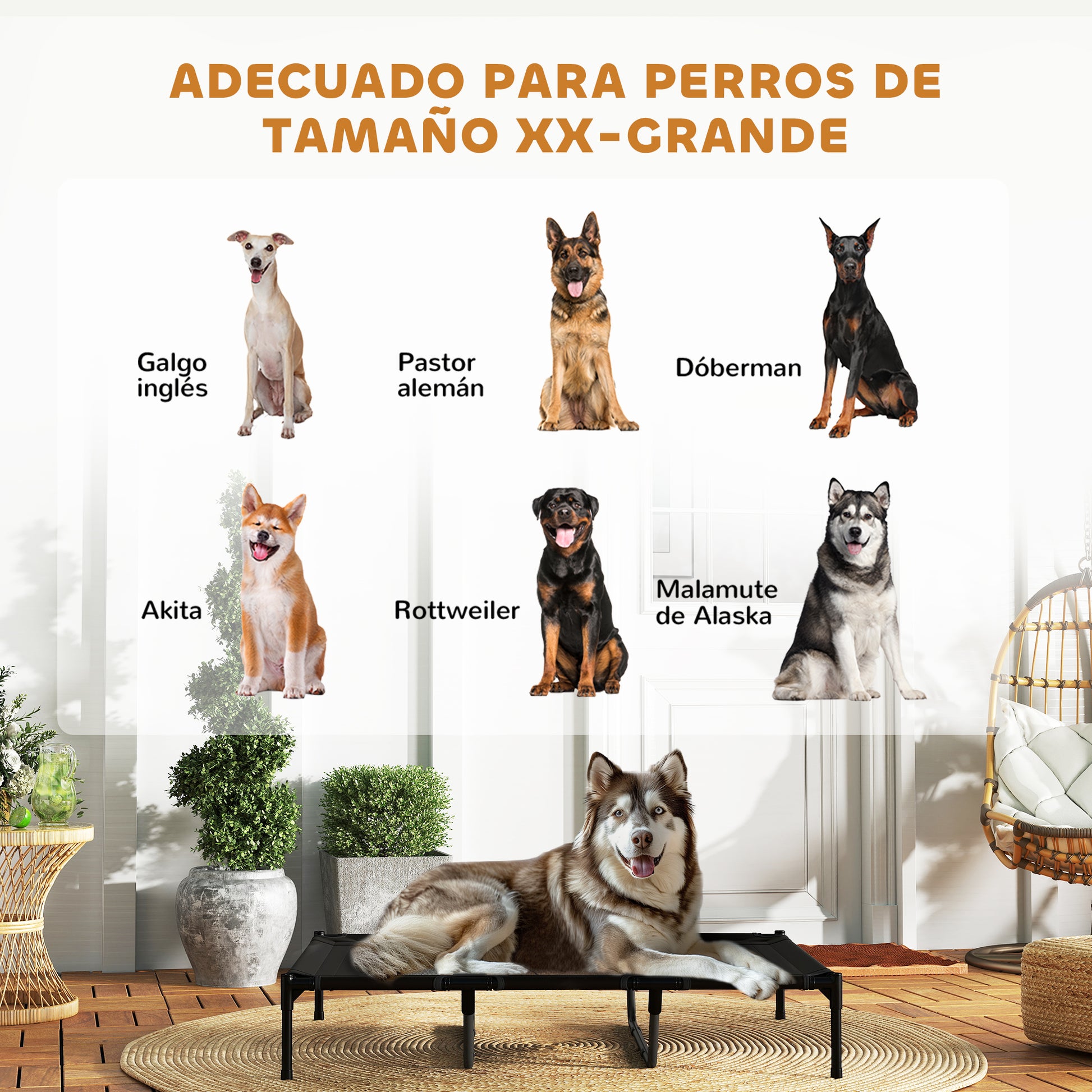 Portable Elevated Bed for Dogs Cats with Breathable Mesh Zone and Oxford Fabric for Indoor Outdoor 122x92x23 cm Black