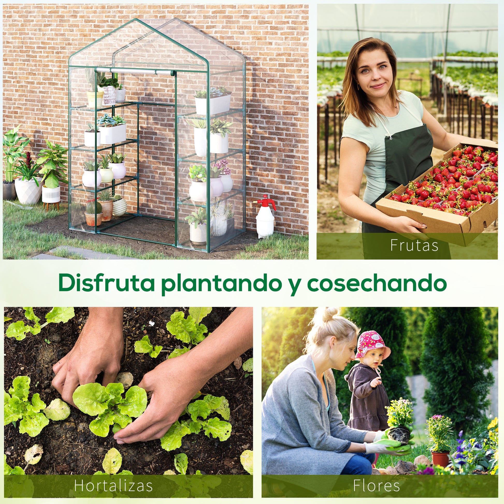 Outdoor Greenhouse 4-Tier Garden Greenhouse with Shelves Steel Frame Greenhouse for Plant Flowers Tomatoes 143x73x195 cm Transparent