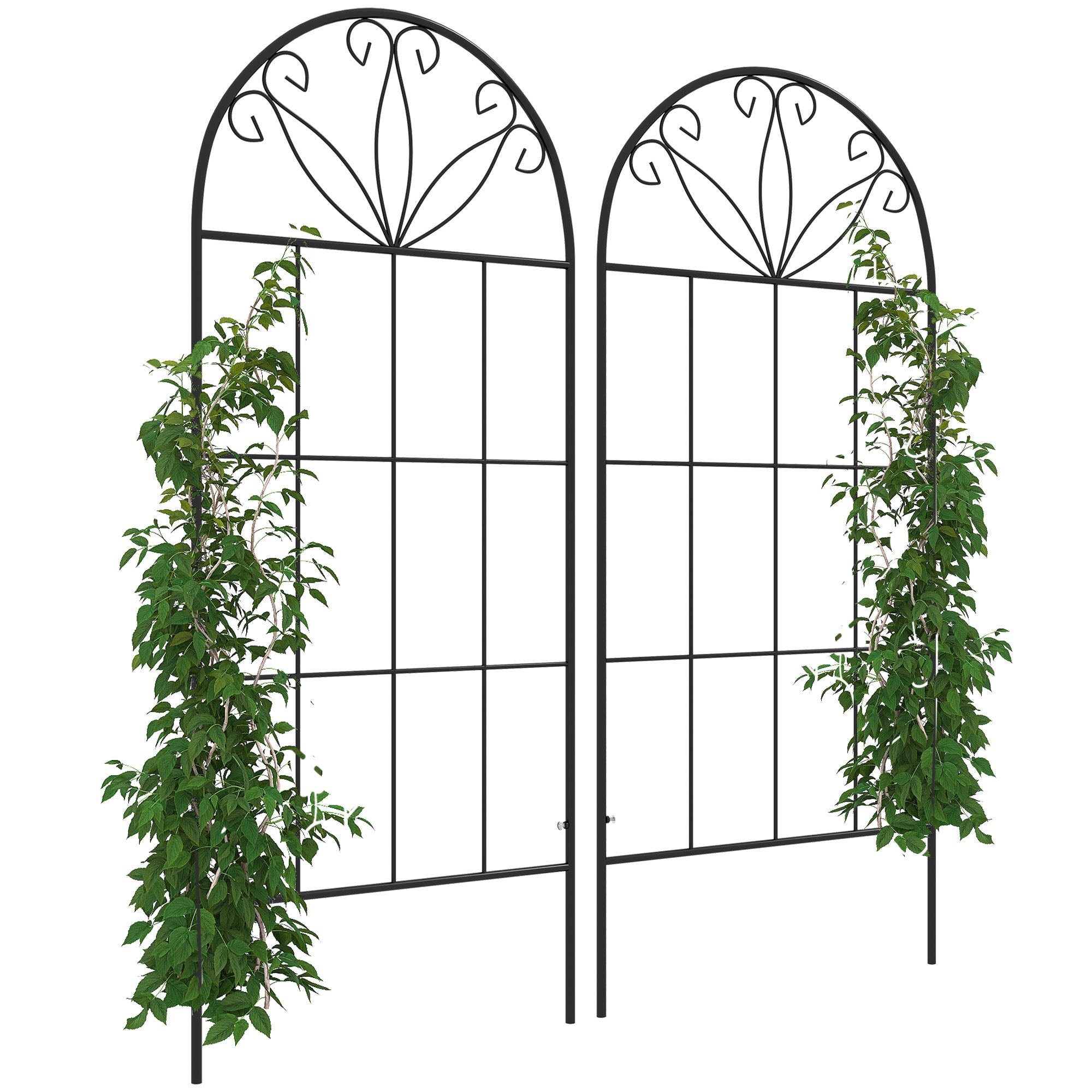 Set of 2 Garden Trellises for Climbing Plants - Metal, 51 x 120 cm, Black