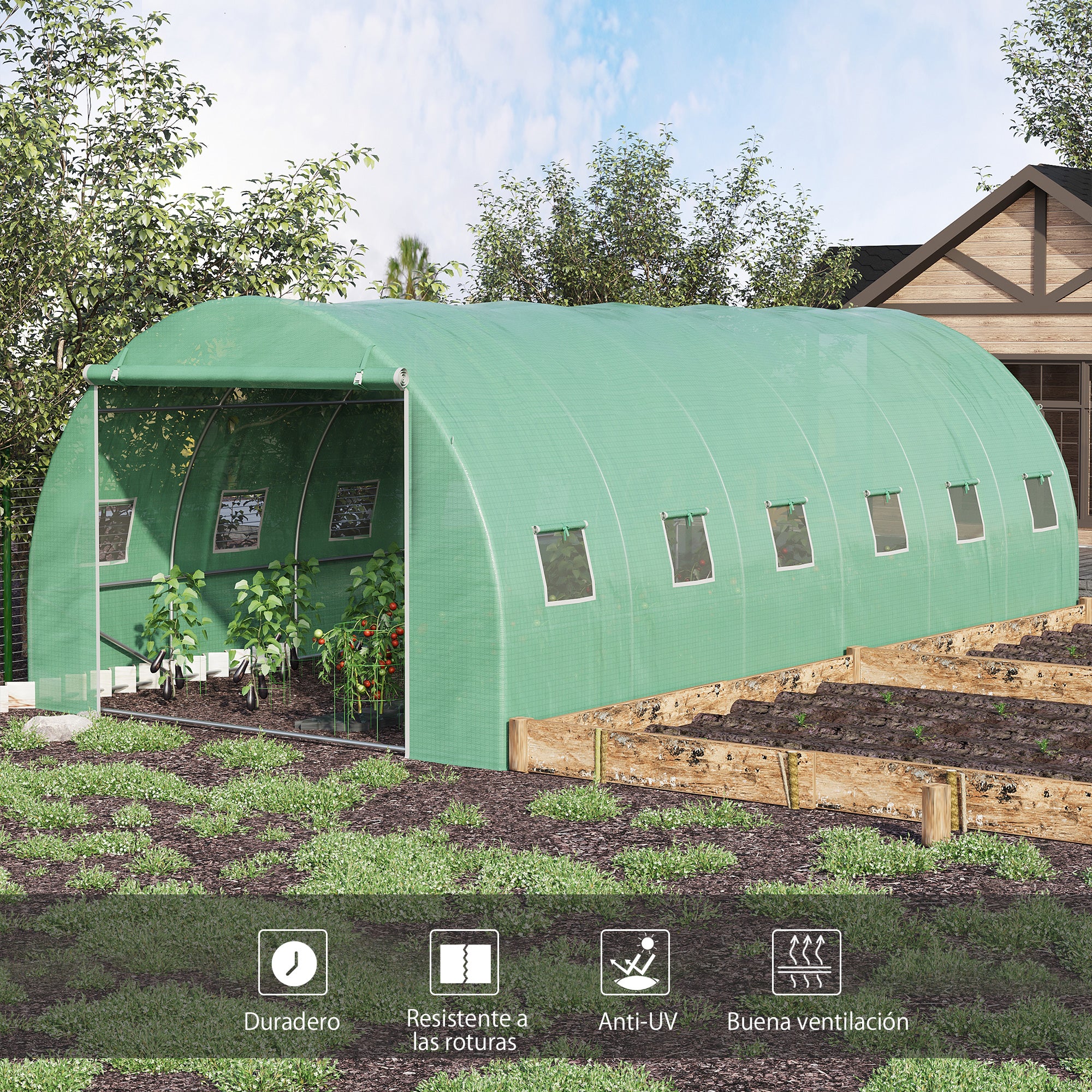 Tunnel Greenhouse 6x3x2 m Garden Greenhouse with 12 Windows Door Greenhouse for Crops Plants Vegetables Flowers Greenhouse