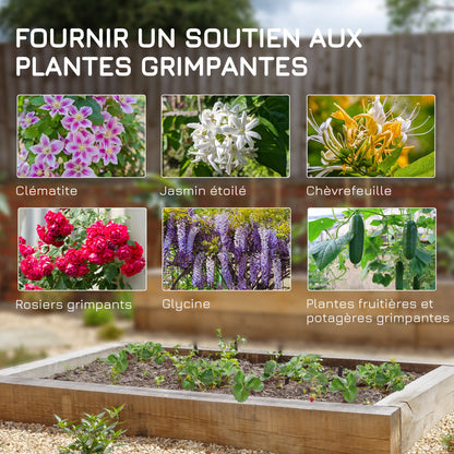 Set of 2 garden trellises, metal climbing plant support, 50W x 181H cm, black