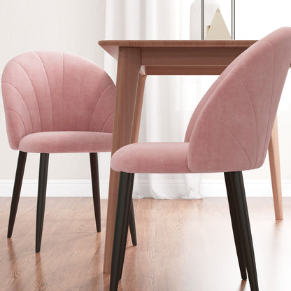 Set of 2 Dining Room Chairs, Modern Kitchen Chairs with Shell Backrest and Metal Legs, Velvet Padded Chair for Kitchen, Bedroom, Office, and Living Room, Pink