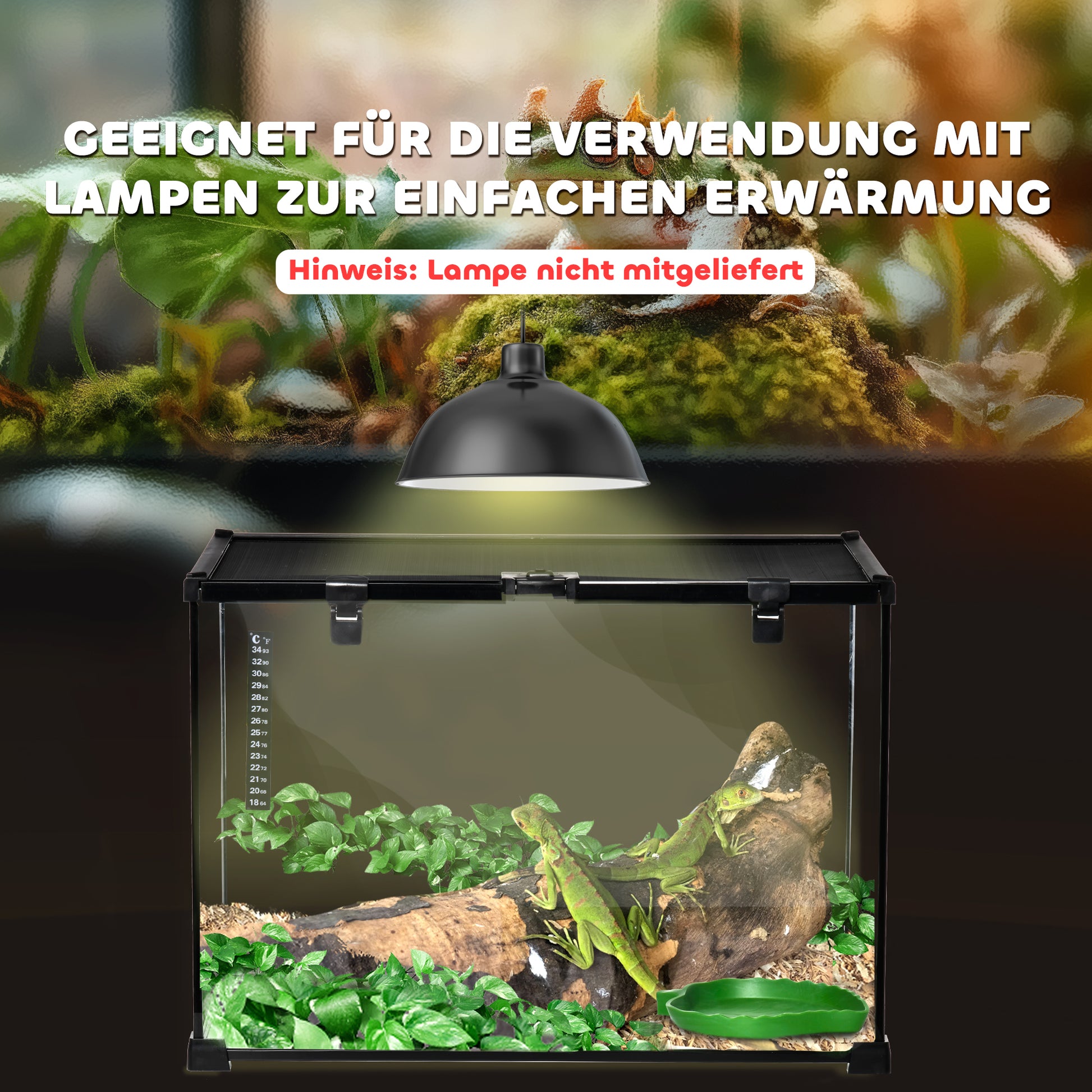 Terrarium for Reptiles Reptile Feeding Box Glass Terrarium Amphibians Arachnids with Thermometer Reptile Breeding Box Metal Black 50 x 30 x 35 cm