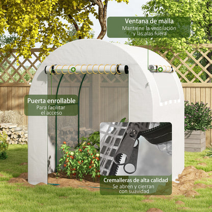 Garden Greenhouse 180x180x200 cm Small Tunnel Greenhouse with Roll-Up Door and Mesh Window for Cultivating Plants Flowers White