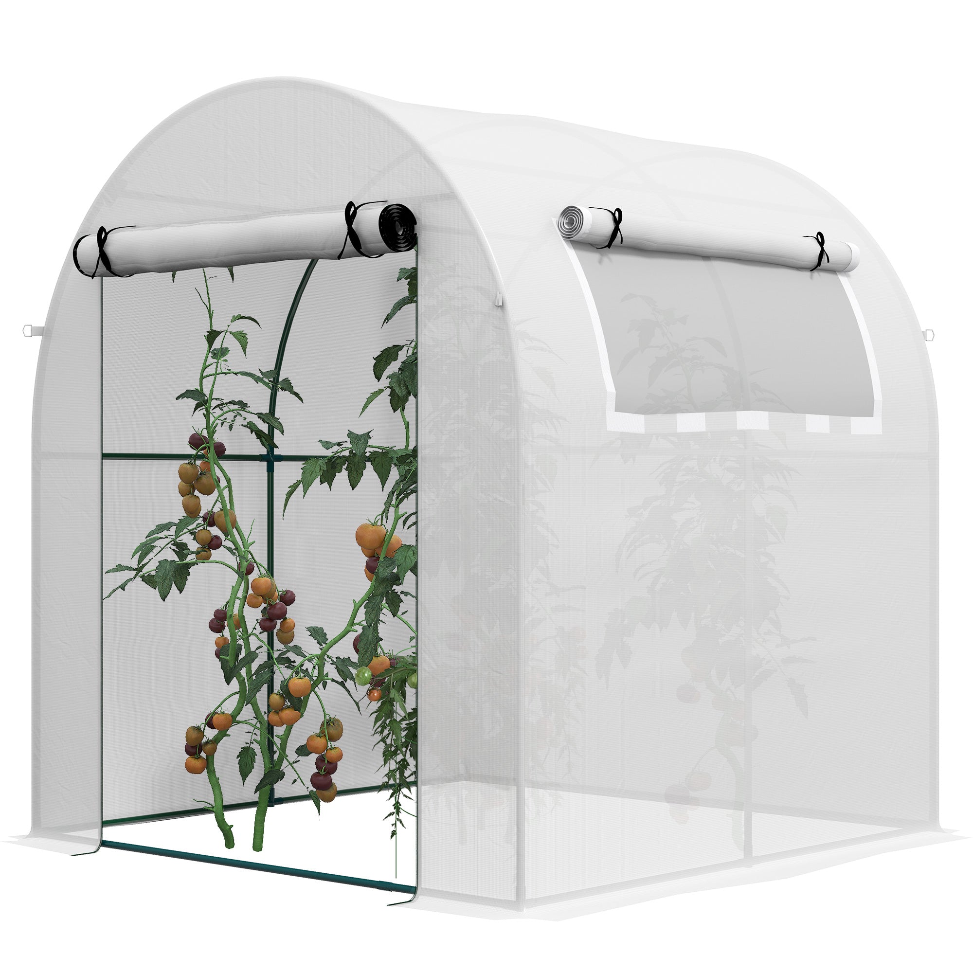 Garden Greenhouse 180x180x200 cm Small Tunnel Greenhouse with Roll-Up Door and Mesh Window for Cultivating Plants Flowers White