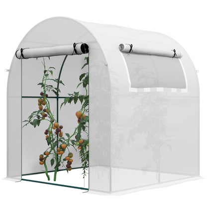 Garden Greenhouse 180x180x200 cm Small Tunnel Greenhouse with Roll-Up Door and Mesh Window for Cultivating Plants Flowers White