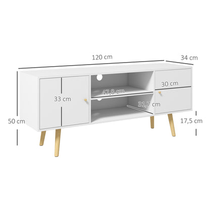 TV Stand Living Room TV Table with 2 Doors 2 Storage Shelves for TVs up to 55 Inches for Bedroom 120x34x50 cm White