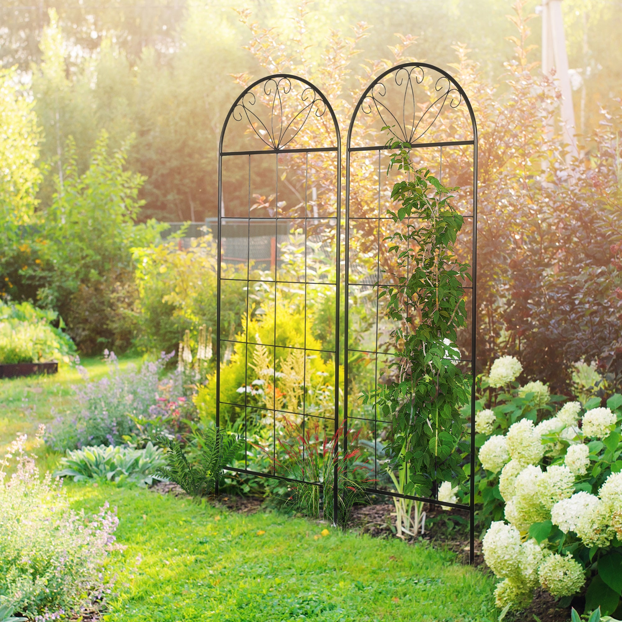 Garden Trellis Set of 2 Metal Climbing Plant Supports - 51 x 152 cm Black