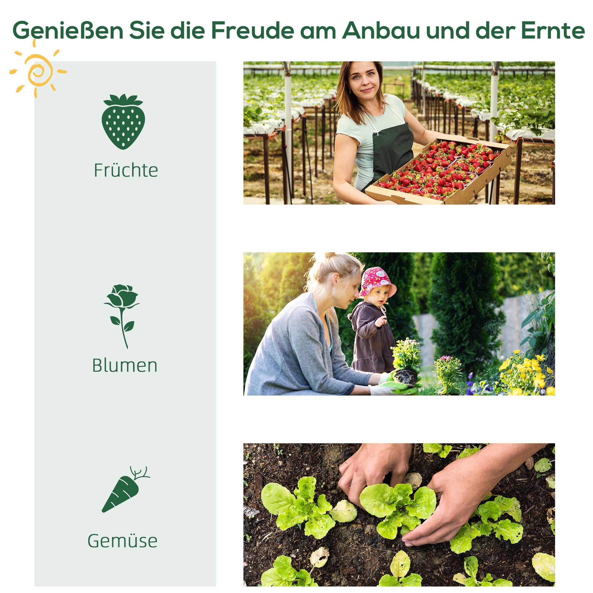 Balcony Mini Greenhouse with 4 Shelves, Mini Greenhouse, Greenhouse, Tomato House, Plant House, Cold Frame, Metal, Green, 80 x 49 x 160 cm