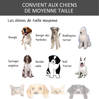 Foldable Dog Cage Transport Cage on Wheels 2 Lockable Doors Removable Tray 94L x 58W x 69.5H cm Metal Gray Black