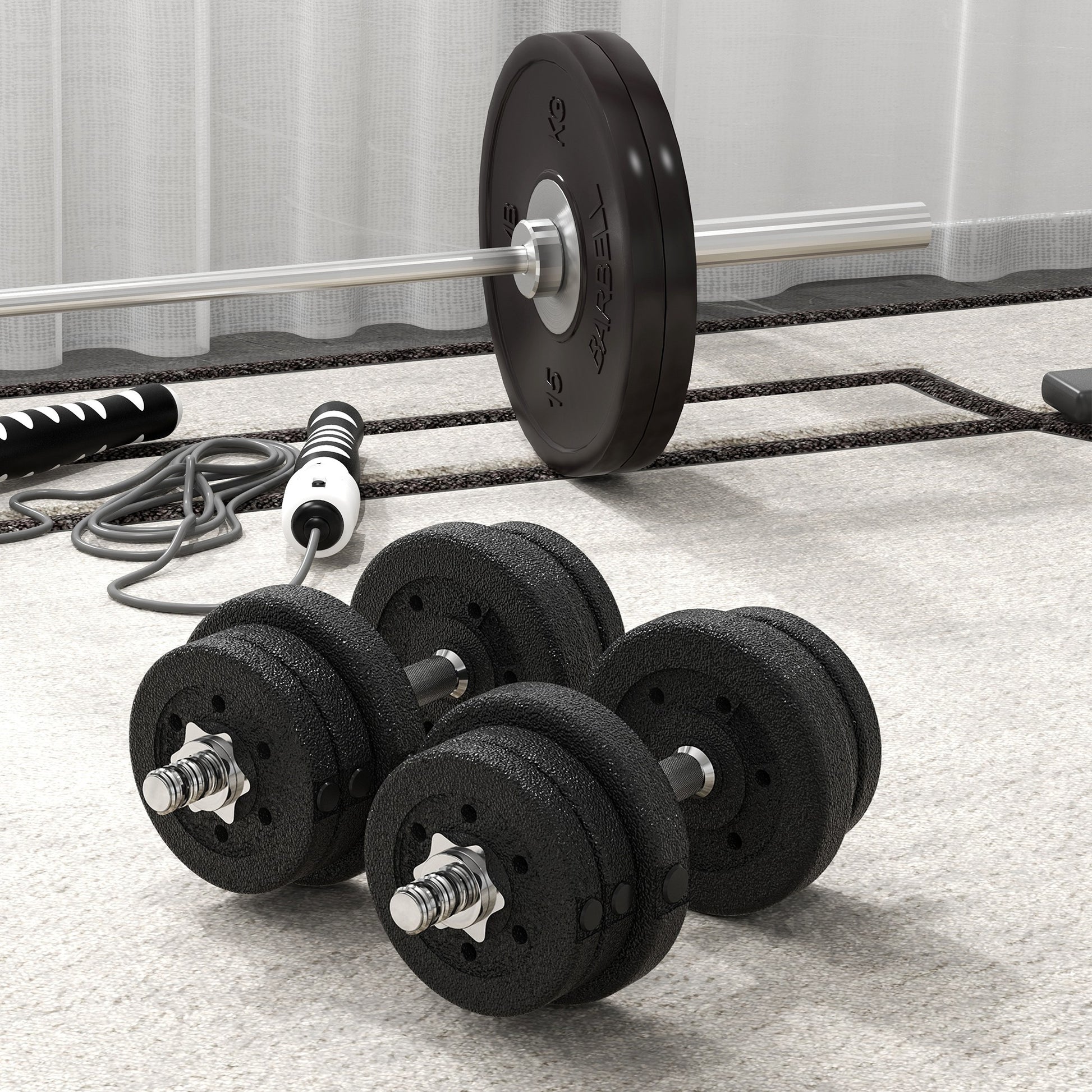 Dumbbell Set 25KG Dumbbell Set with Weight Plates for Home Office Gym Steel Faux Leather Black Strength Training