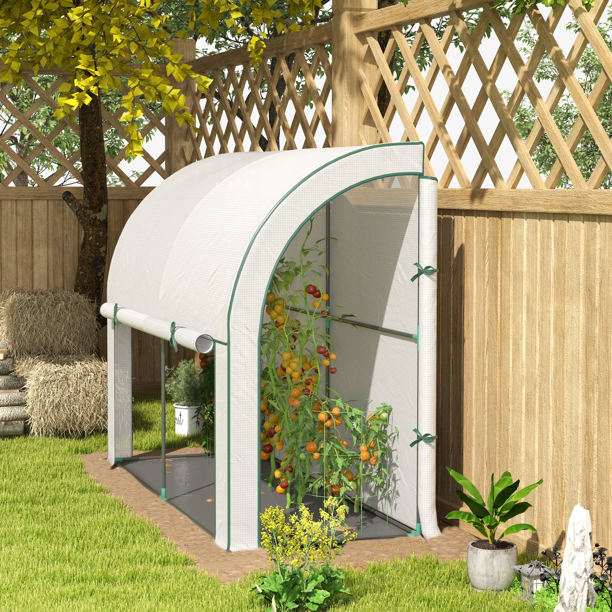 Greenhouse with Roll Door, Winterproof Foil Greenhouse made of Steel, Greenhouse for Balcony, Garden, Tomato House with UV Protection 200x80x157cm Tomato Greenhouse for Vegetables Flowers Plants White