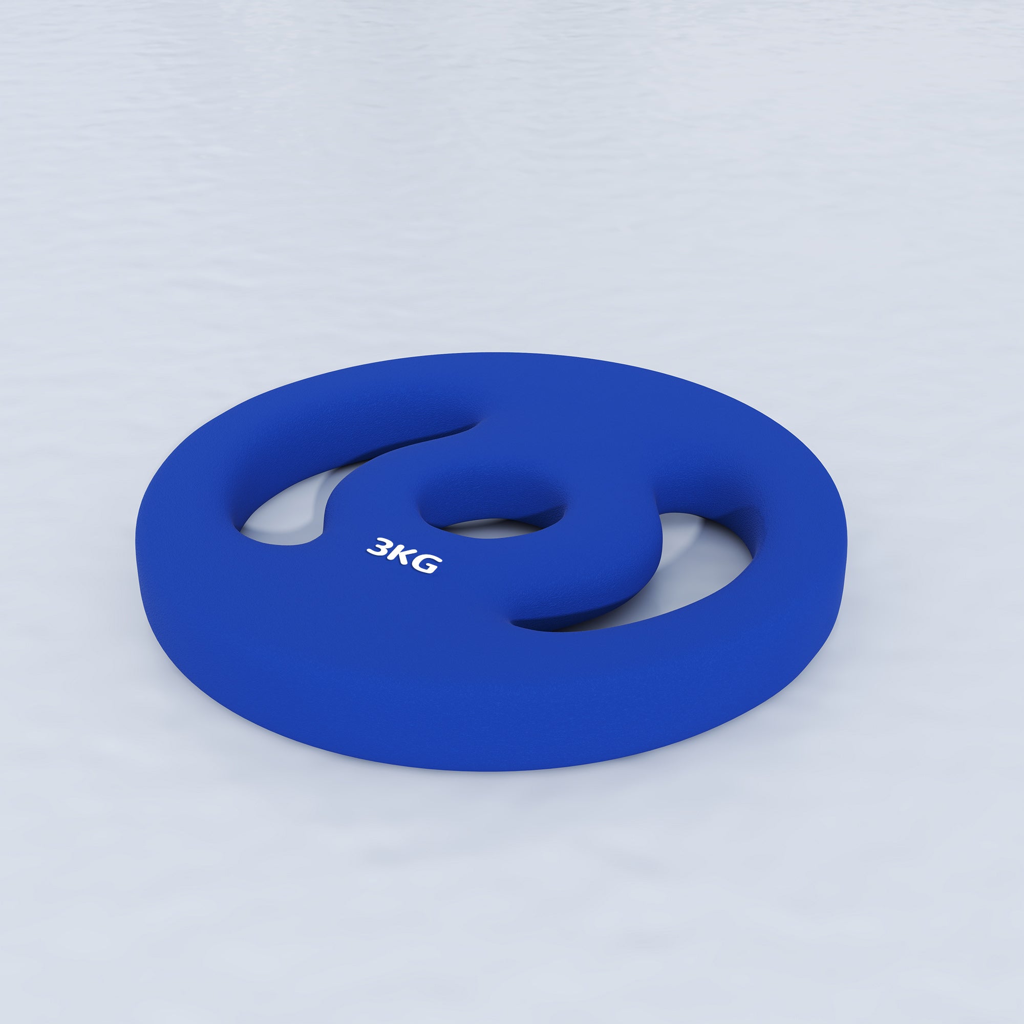 SPORTNOW Set of 2 Weight Plates, 2 x 3 kg, for Ø 2.5 cm Bars, with Easy-Grip Handles, for Home Gym, Weightlifting, Metal, Blue